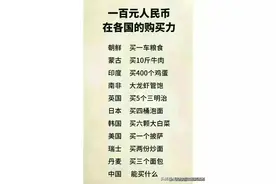 100元人民币在各国的购买力，在中国能买什么？图片