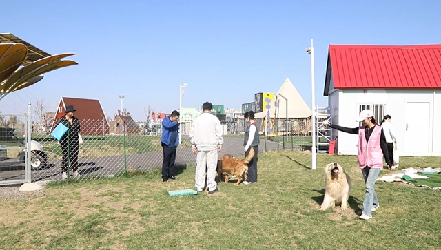 北辰文旅又添新地标！