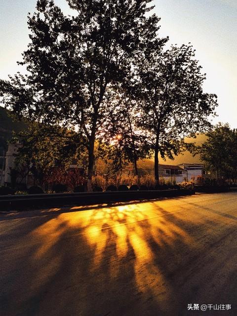 骑行：一场温柔的“上瘾”，让生活在风里开出花来