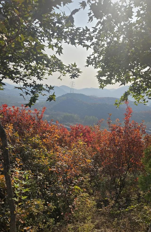 京郊红叶顶流已上线,这里已经美到窒息!避堵攻略速藏!