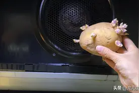 家里油烟机无论多脏多油，用一个发芽土豆，不拆卸，瞬间干净如新图片