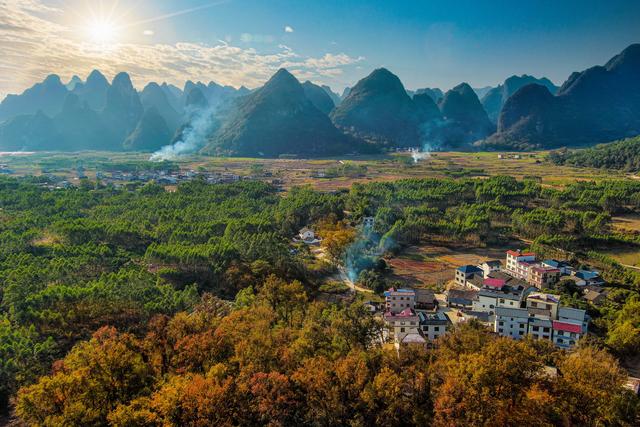 莫道秋来花开尽 五彩斑斓别样韵