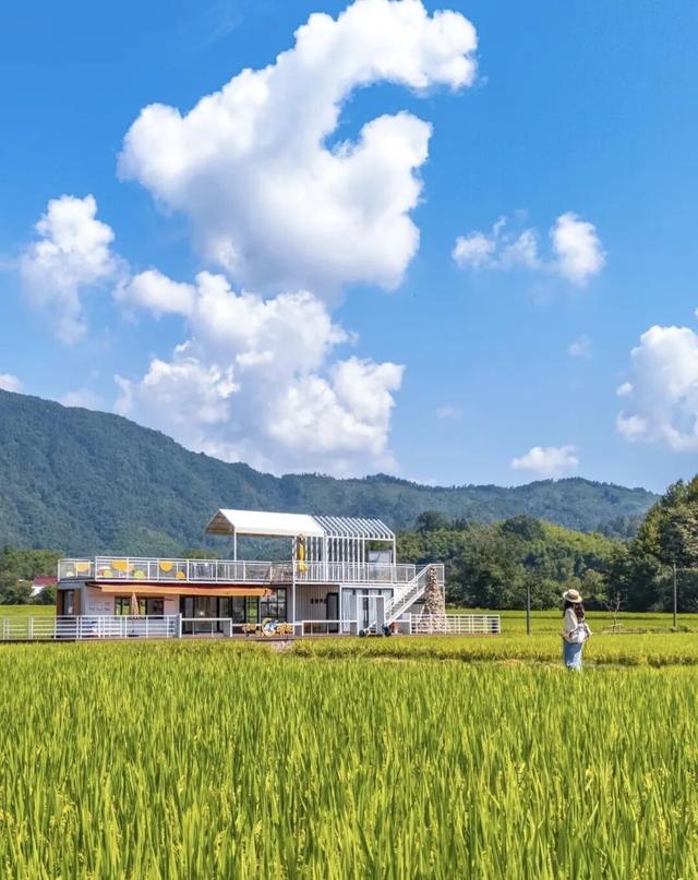 别等了！黄山的秋已铺满诗意，就差你的一句告白 | 皖美秋日