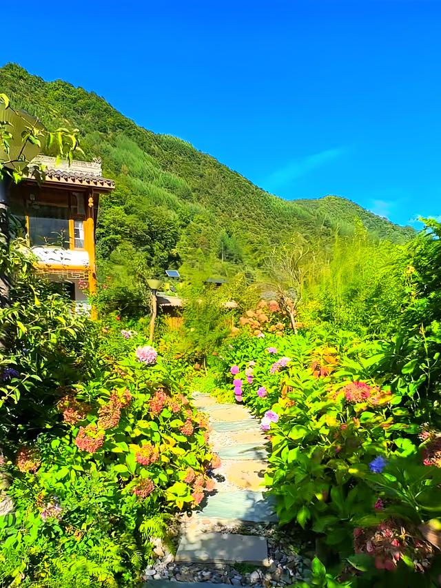 大山里的秘密花园 竟暗藏着治愈人的神奇魔力