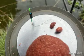 频频黑漂却不中鱼？一块铅皮就能解决的问题，就别纠结了图片