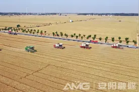 “数”说安阳民生2024！奔向更美好的日子图片