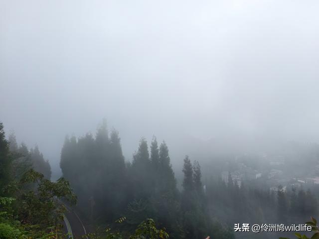 四川行(73)什邡红枫岭徒步到钟鼎寺