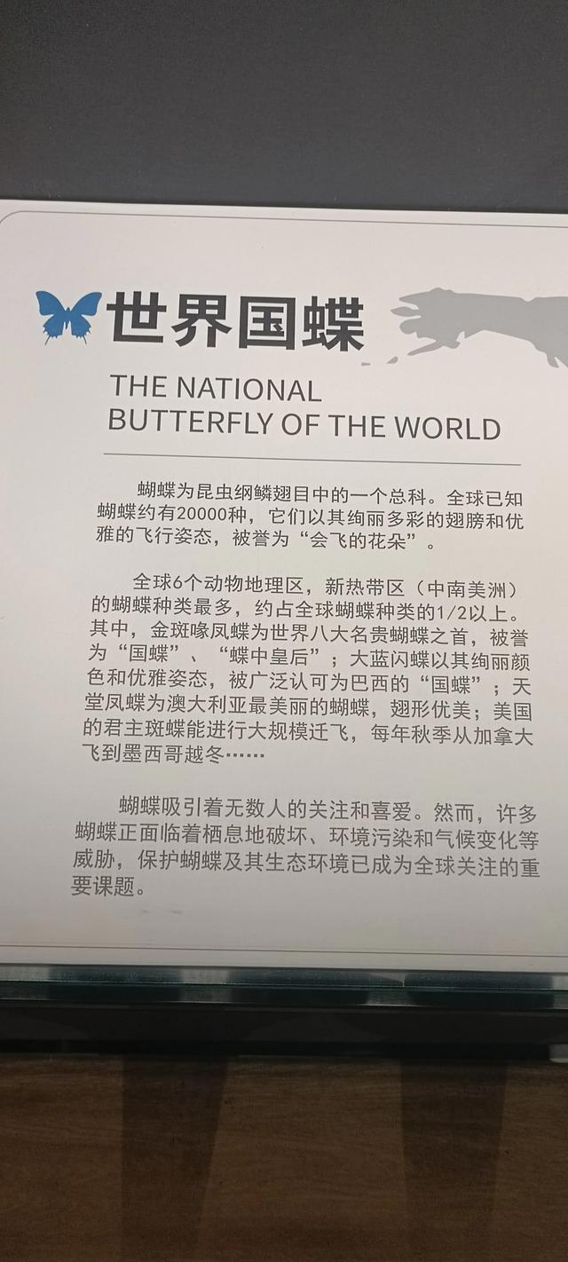 西安长安云昆虫展你来了吗