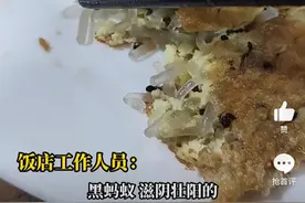 有的菜见一次就忘不了 “蚂蚁鸡蛋”用的是真蚂蚁图片