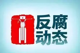 宋殿宇、邹若力、刘家财、符婵娟被查，吴志锋、何晓刚、高嵩被“双开”图片