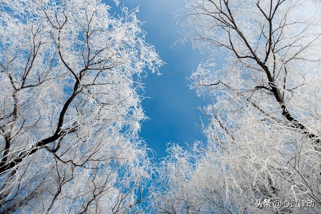 “霜降在月头，大雪封门；霜降在月尾，春节穿袄”,今年霜降在哪?