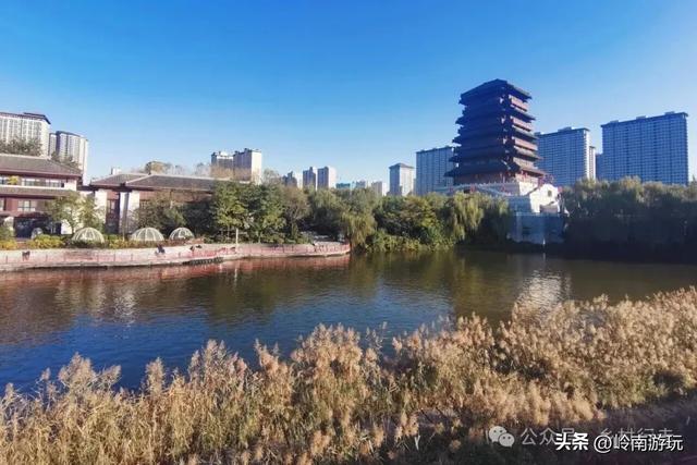 全部免费,推荐西安周边最适合拍照的芦苇荡,快去打卡吧!