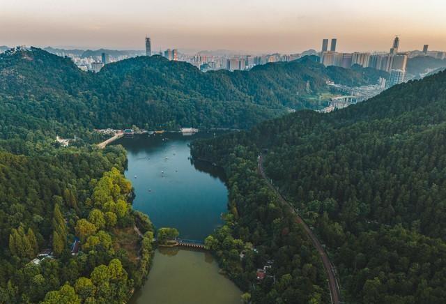 国内绿化最好的10大城市，南宁第3，昆明第6，长春垫底！