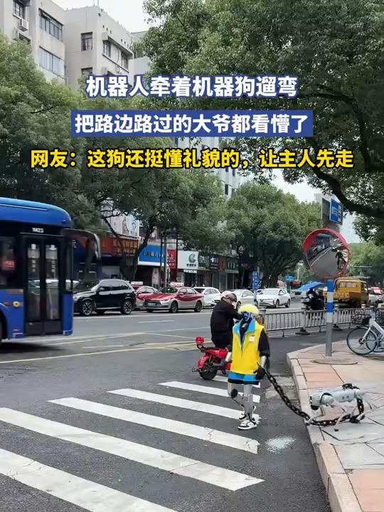 机器人牵机器狗遛弯惊呆路人， 未来智能生活已悄然来到身边