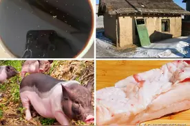 老祖宗传承的东西一定好？中医、焚烧秸秆、古法酱油…真不是这样图片