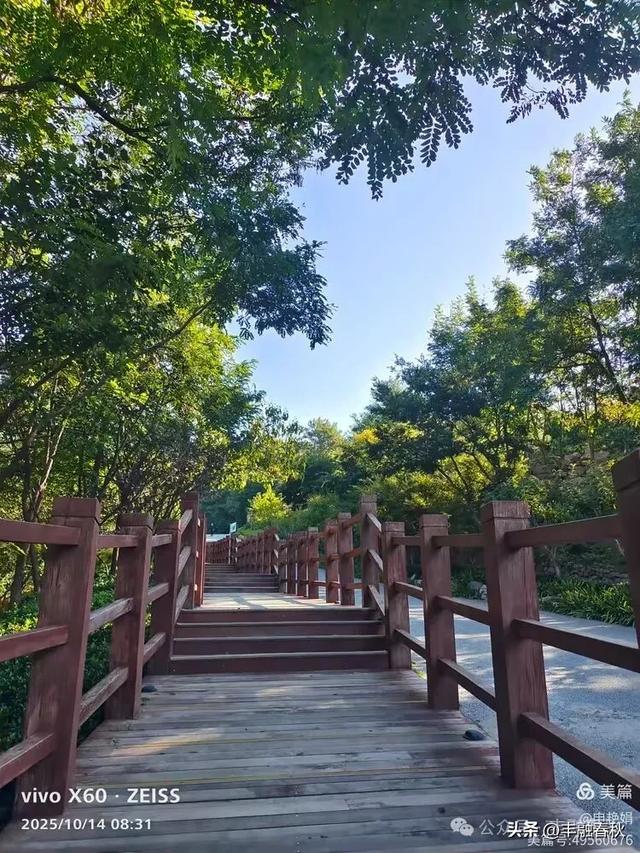 浮山漫记:藏在青岛城央的自然诗篇|申艳娟