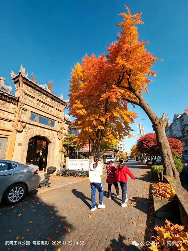 武冈文庙与双银杏探源