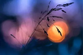 星汉西流夜未央：10首意境优美的诗词，都能背过的是高手图片