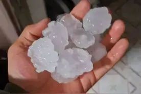 金平下冰雹了！这份防御指南请查收→图片