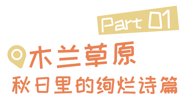 秋日寻芳记，游黄陂，赏花趣！