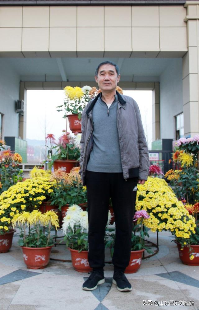 携老伴虹桥花园赏菊（下）