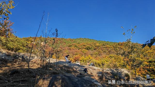 泰安：泰山腰一条鲜为人知的环山小道，却藏着深秋的惊艳