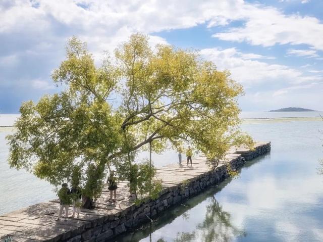 国庆“出片胜地”！苏州太湖1号公路等你来打卡