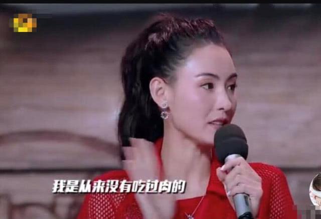 狐狸尾巴藏不住，撒谎成性、风流潇洒的张柏芝，被陈晓东撕下体面