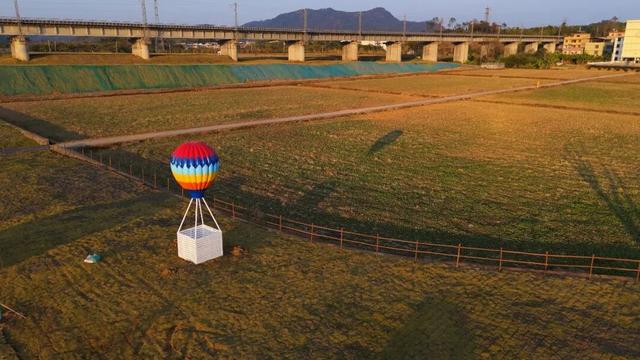 在韶关，带毛孩子去哪“浪”？这份宠物友好地图请收藏，撒欢不踩雷~