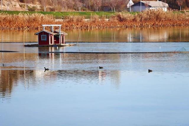 白银区游玩攻略：带你解锁铜城的工矿发展和诗画风光