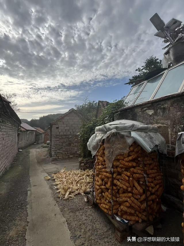 莱芜苗山有一座隐在山坳里的古村：陡峪