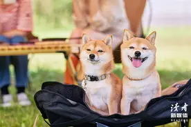 话术的力量（不服不行）图片