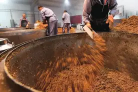 真正的粮食酒多少钱一斤？很便宜吗？35年酿酒老师傅告诉你答案图片