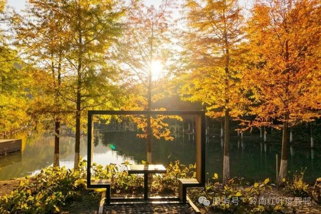 给你个准信！韶关森林红！红！红啦~