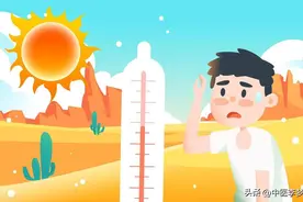 晒背的几点禁忌你知道吗？盲目晒背小心伤害健康图片