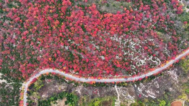 牛郎山，你怎么美成这样！！