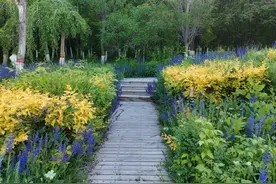 本周高温直冲34℃！但乌鲁木齐的夏天真的还没来图片