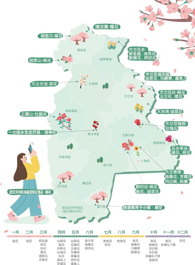 限时一周！黄陂的玉兰瀑布藏不住了