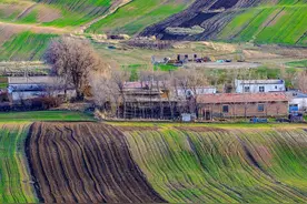 新疆公布10条“春赏花”休闲农业精品景点线路图片