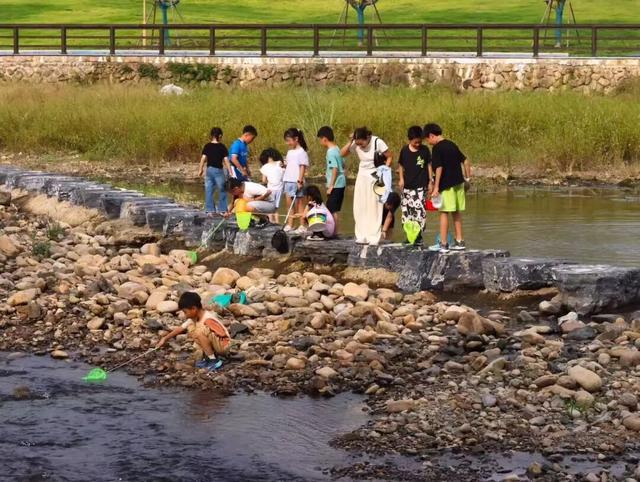 在临安，“水”的一百种打开方式！