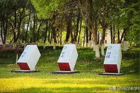 江苏高校洗牌：扬大受宠，江大意外，通大超南邮，网友：谁冲一流图片