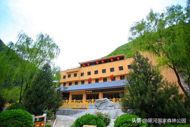 五一反向旅游首选：黑河国家森林公园，自驾+徒步+山居，避开人潮享秦岭秘境