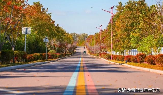 走不出这画了，我已被西海岸的秋景迷倒 🥹