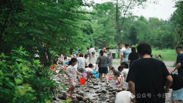 枕溪水、伴林风，崇州这个营地好玩又出片