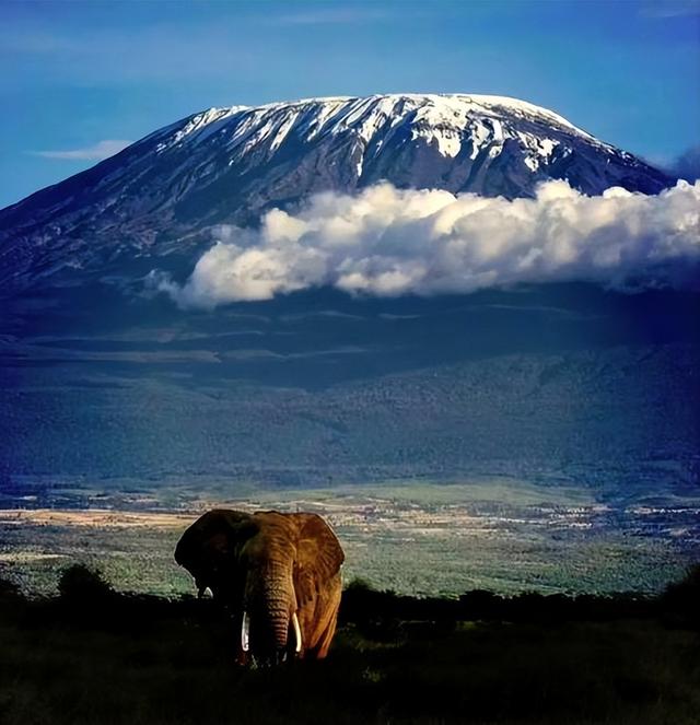 从9万到10万！肯尼亚凭啥成春节新顶流？三大原因让游客说走就走
