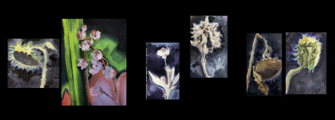 “丹青贺岁 万象更新”2026惠州市水彩画网络展在线欣赏 - 图画吧TUHUABA