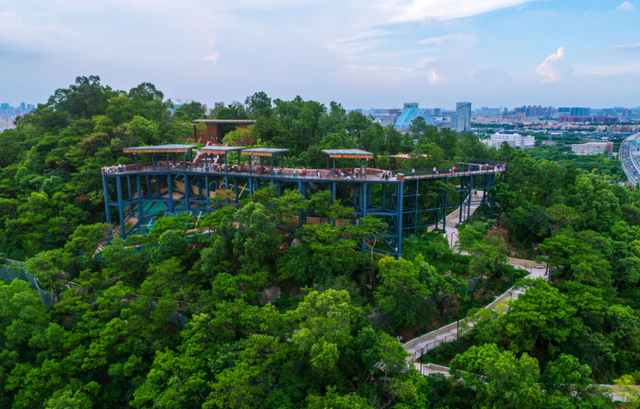 逛完你的逛你的，桂城公园真的逛不完！免费畅玩→