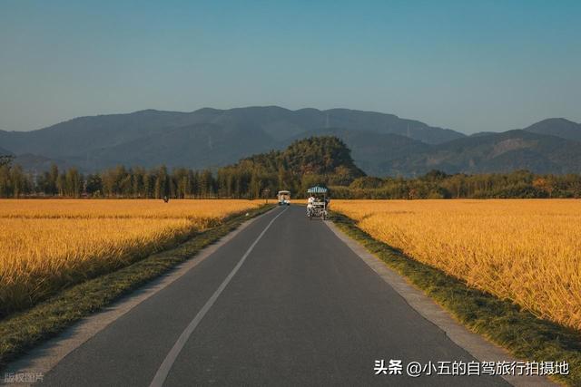 良渚古城一日游攻略｜穿越 5000 年文明，高效打卡世界遗产