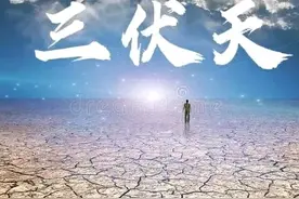 “三伏热不热，就看芒种”，明日芒种，今年三伏天会热到哭吗？图片