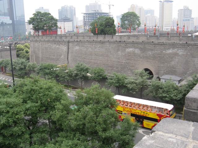 60岁学年轻人打卡网红城市3个月，我收获的不止是美照